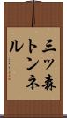 三ッ森トンネル Scroll