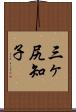 三ヶ尻知子 Scroll