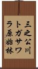 三之公川トガサワラ原始林 Scroll