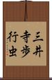 三井寺歩行虫 Scroll