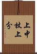 上中杖上分 Scroll