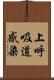 上呼吸道感染 Scroll