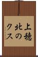 上穂北のクス Scroll