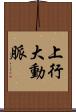 上行大動脈 Scroll