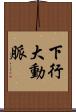 下行大動脈 Scroll