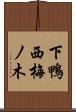 下鴨西梅ノ木 Scroll