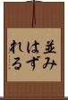 並みはずれる Scroll