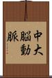 中大脳動脈 Scroll