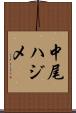 中尾ハジメ Scroll
