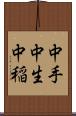 中手 Scroll