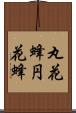 丸花蜂 Scroll