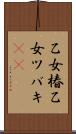 乙女椿 Scroll