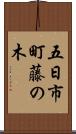 五日市町藤の木 Scroll