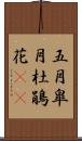 五月;皐月;杜鵑花(sK) Scroll