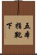 五本指靴下 Scroll