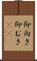 仰向き Scroll
