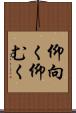 仰向く Scroll