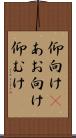 仰向け(P) Scroll