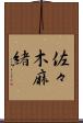 佐々木麻緒 Scroll