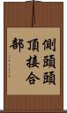 側頭頭頂接合部 Scroll