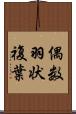 偶数羽状複葉 Scroll