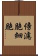 傍濾胞細胞 Scroll