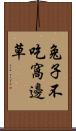 兔子不吃窩邊草 Scroll