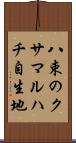 八束のクサマルハチ自生地 Scroll