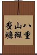 八重山斑蜚蠊 Scroll