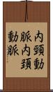 内頸動脈 Scroll