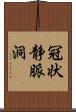 冠状静脈洞 Scroll