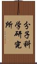 分子科学研究所 Scroll