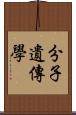 分子遺傳學 Scroll