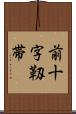 前十字靱帯 Scroll