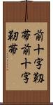 前十字靱帯 Scroll