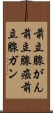 前立腺がん Scroll