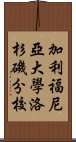 加利福尼亞大學洛杉磯分校 Scroll