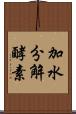 加水分解酵素 Scroll