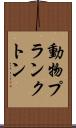 動物プランクトン Scroll
