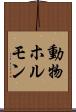 動物ホルモン Scroll