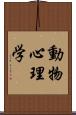 動物心理学 Scroll