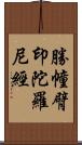 勝幢臂印陀羅尼經 Scroll