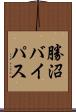 勝沼バイパス Scroll
