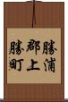 勝浦郡上勝町 Scroll