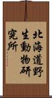 北海道野生動物研究所 Scroll