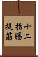 十二指腸提筋 Scroll