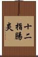 十二指腸炎 Scroll