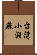 台湾小洞燕 Scroll