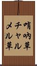 哨吶草 Scroll