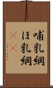 哺乳綱 Scroll